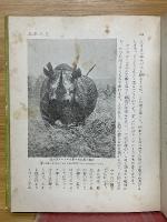 動物と植物の生活　新日本少年少女文庫
