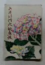 六川典行大歌舞伎