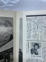 The Mountain　パンフレット