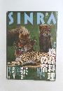 sinra 1996年7月号