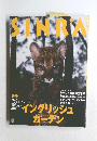 SINRA　1996年3月号