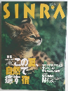 SINRA　1998年7月号