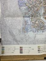 寿能泥炭層遺跡発掘調査報告書　自然遺物編