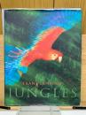 JUNGLES