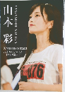 山本彩 NMB48 卒業記念 公式メモリアルブック ～さや姉の2949日