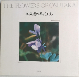 御巣鷹の草花たち