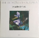 御巣鷹の草花たち