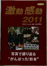 激動 感動  2011