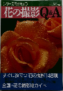 花の撮影Q&A　No. 91
