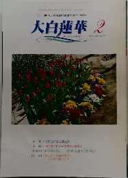 大白蓮華 2　2006 No.672