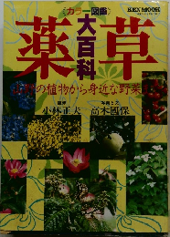 薬草大百科