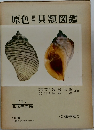原色世界貝類図鑑