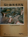 原色和漢薬図鑑