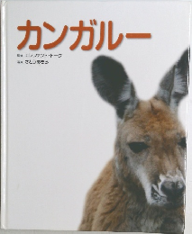 カンガルー