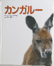 カンガルー