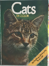 Cats　IN　COLOR