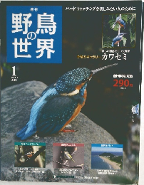 週刊野鳥の世界　1