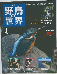 野鳥の世界　1