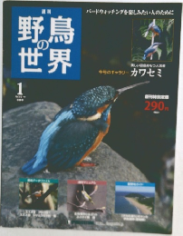 野鳥の世界　1月号