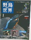 野鳥の世界　1月号