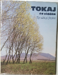 TOKAJ  es videke