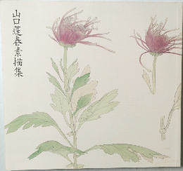 山口蓬春素描集