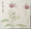 山口蓬春素描集
