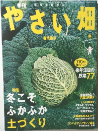 やさい畑　冬 2008