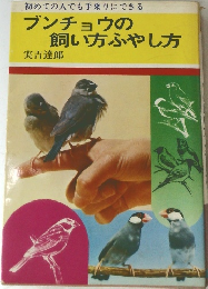 ブンチョウの飼い方ふやし方
