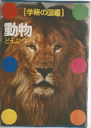 動物　どうぶつ
