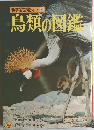 鳥類の図鑑　新学習図鑑シリーズ 4
