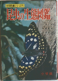 学習図鑑シリーズ 28　昆虫の生態図鑑