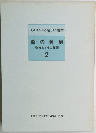 数の発展  数概念とその発展　2