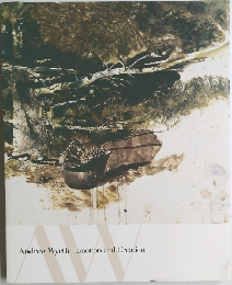 Andrew Wyeth Emotion and Creation