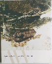 Andrew Wyeth Emotion and Creation