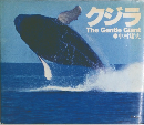 クジラ  The Gentle Giant