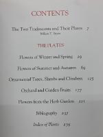 AN ENGLISH FLORILEGIUM