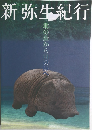 新弥生紀行　