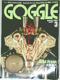 GOGGLE  March 2002