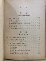 実力完成 英語文型の活用