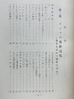 ビルマ戦跡巡礼記　自由と平和への道