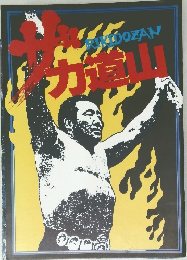ザ・力道山 