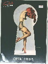 Art  FANTASTIX  prasentiert　CLASSIC　PIN-UPS　１