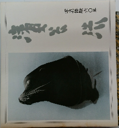 写真体験六〇年