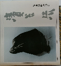 写真体験六〇年