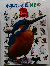小学館の図鑑NEO　鳥