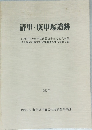 清里・庚申塚遺跡 1981年