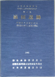 瀬田遺跡　1985