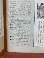 季刊　panoramic mag.is 　is　22　　1983年