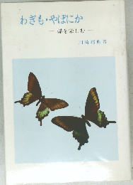 わぎも・やぽにか